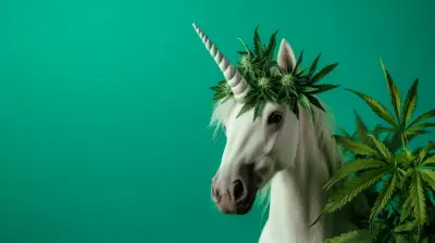 Debunking Common Myths About 4/20