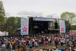 Brookhaven’s 2025 Cherry Blossom Festival draws record crowd